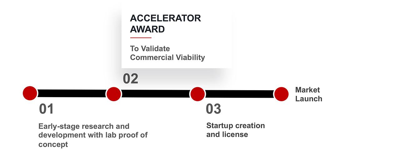 the accelerator awards on a single line continuum from early stage development to accelerator award to startup creation to market launch