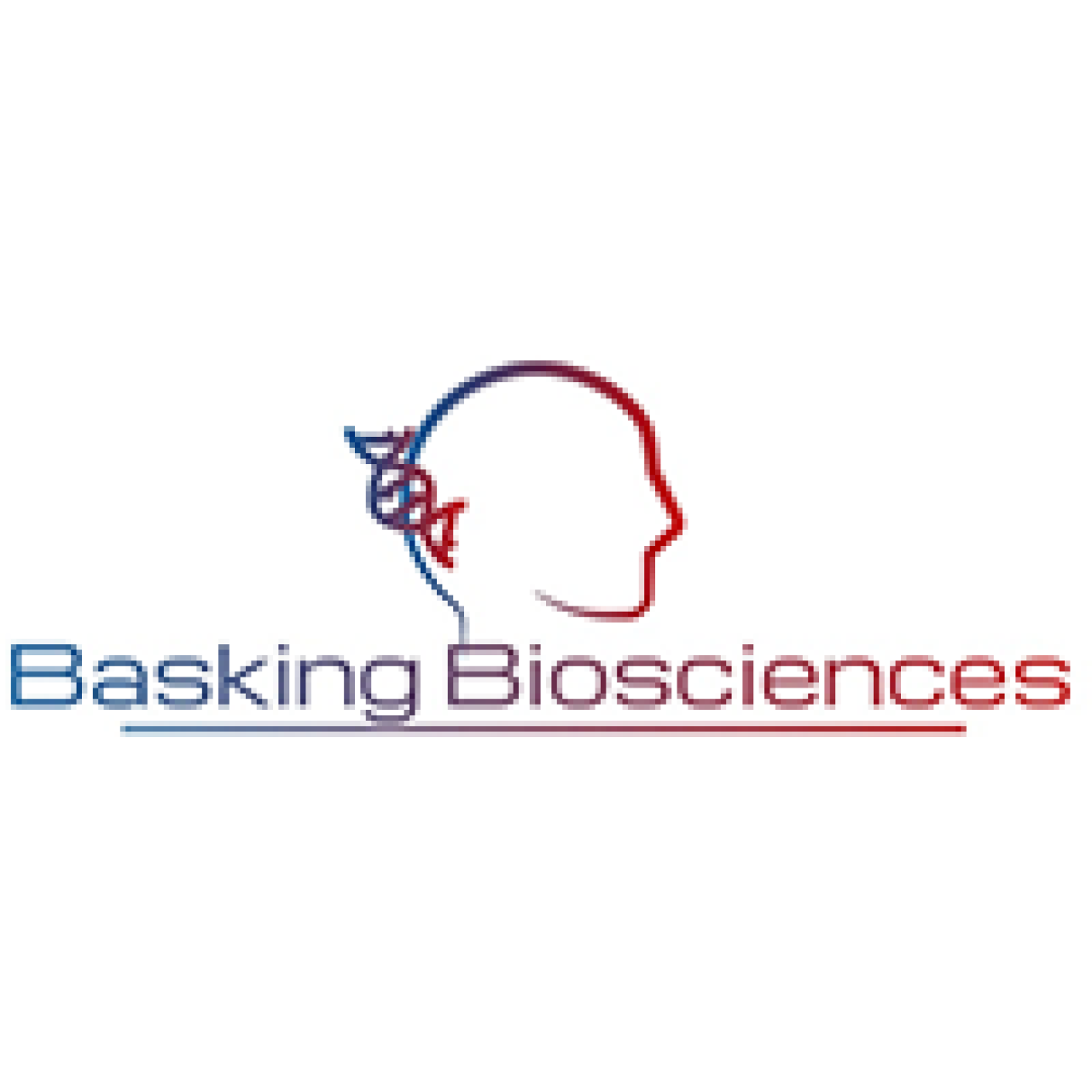 Basking logo