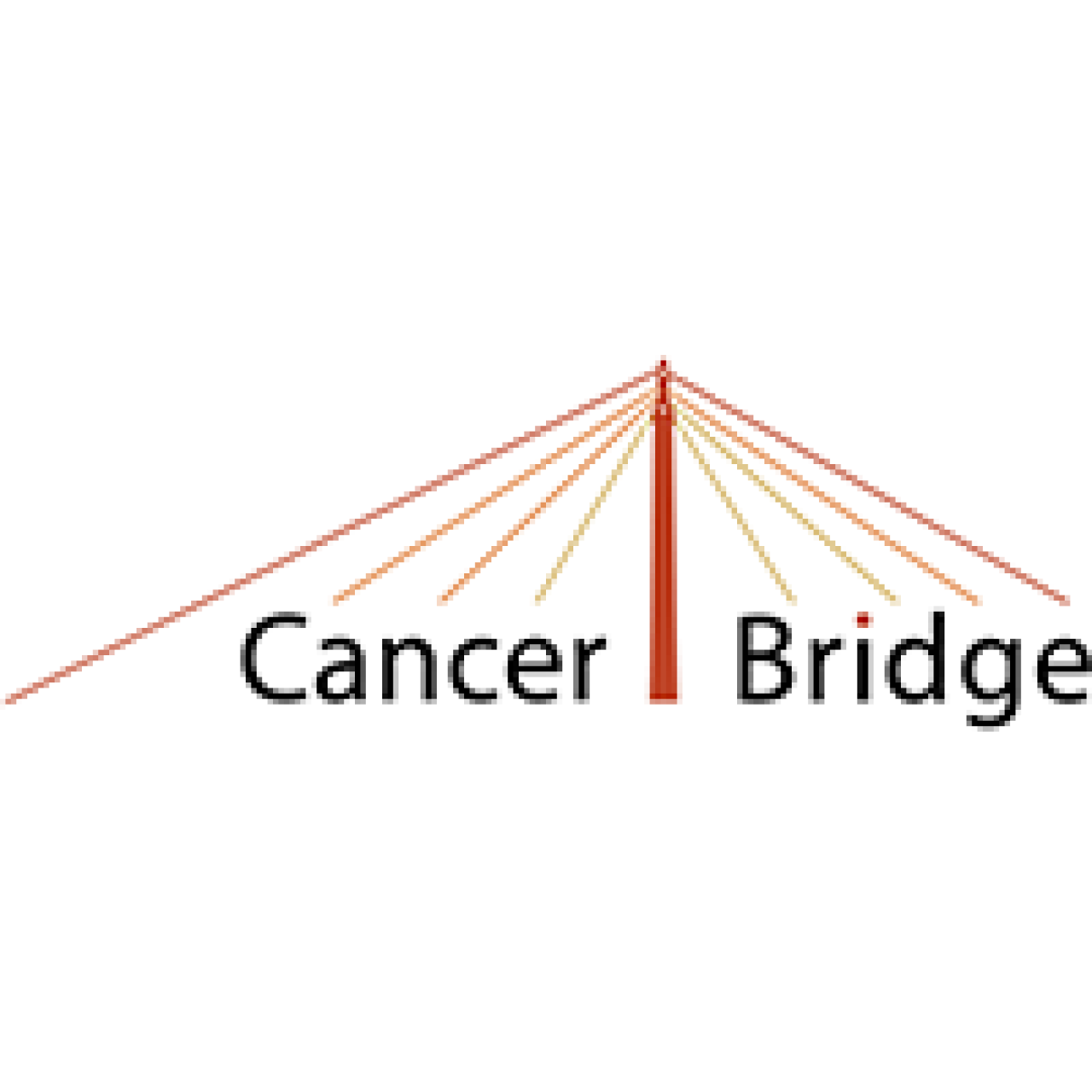 Cancer Bridge Logo