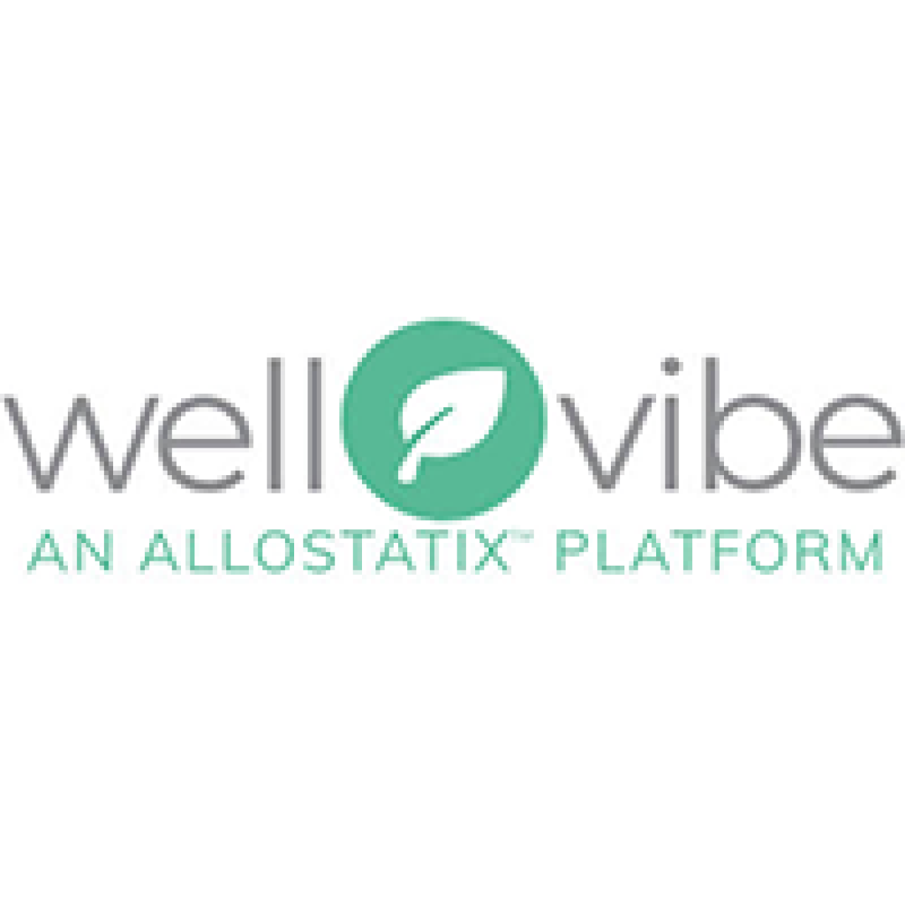 wellvibe logo