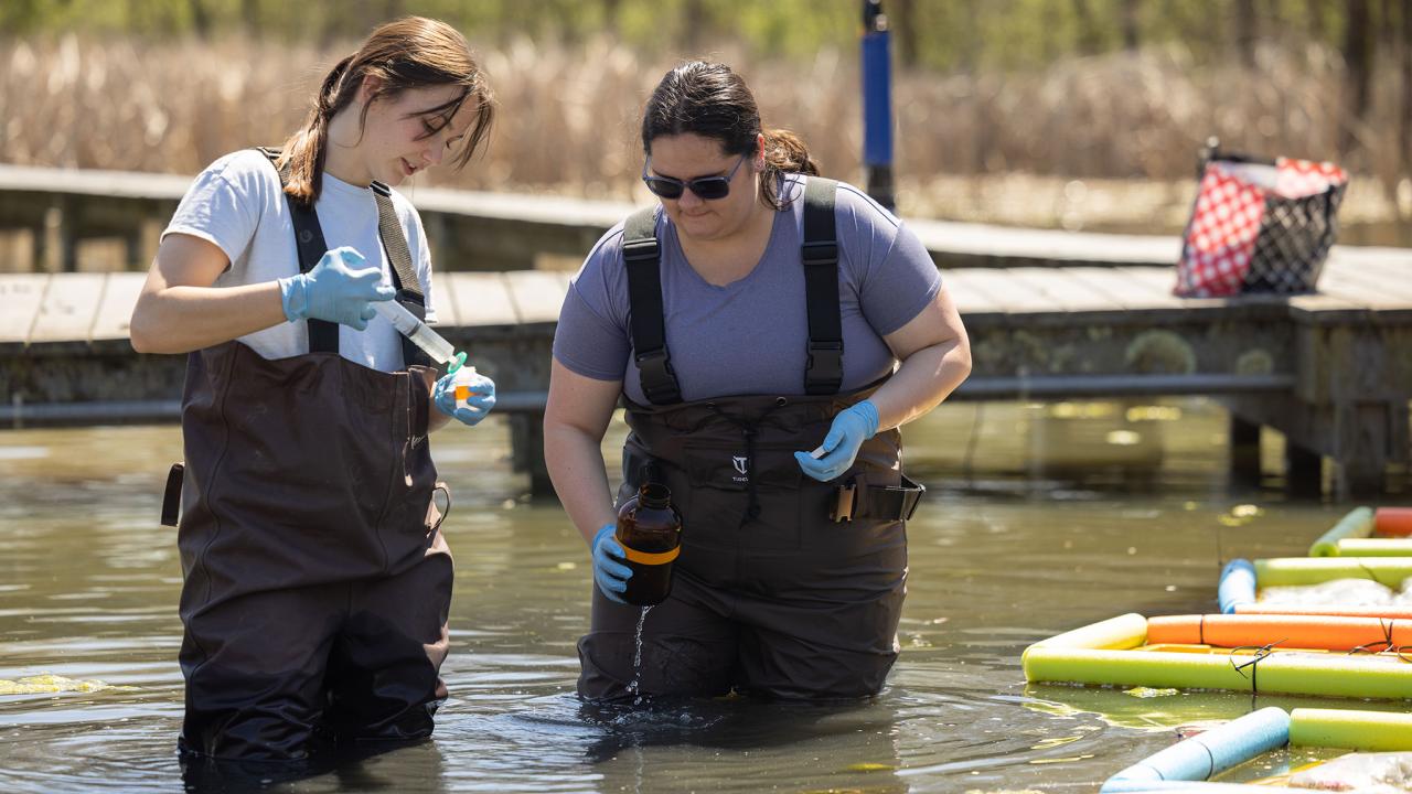 Two researchers standing in water getting samples